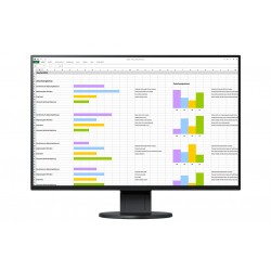 EIZO FLEXSCAN EV2456